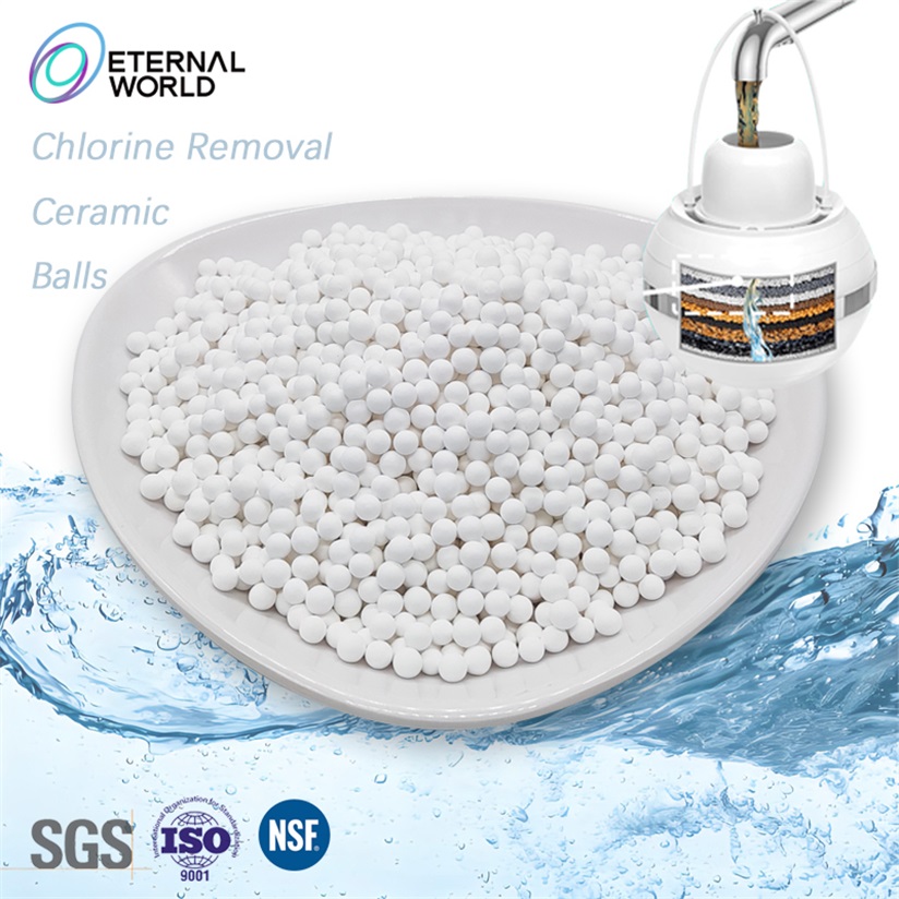 Filtre de pomme de douche au chlore