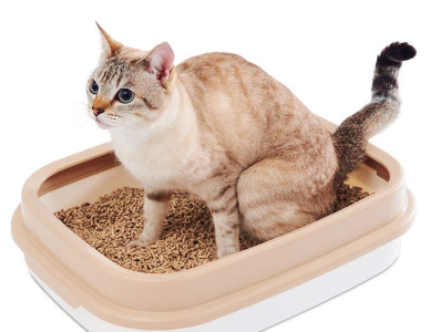 ゼオライト猫砂
