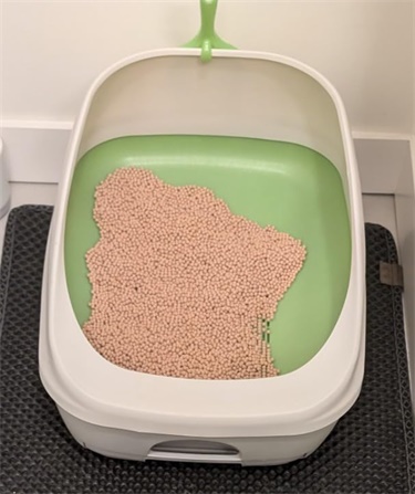 豆腐猫砂 豆腐猫砂