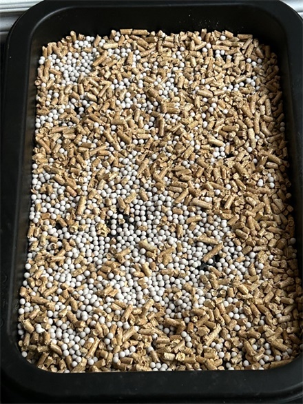 cat litter cat litter
