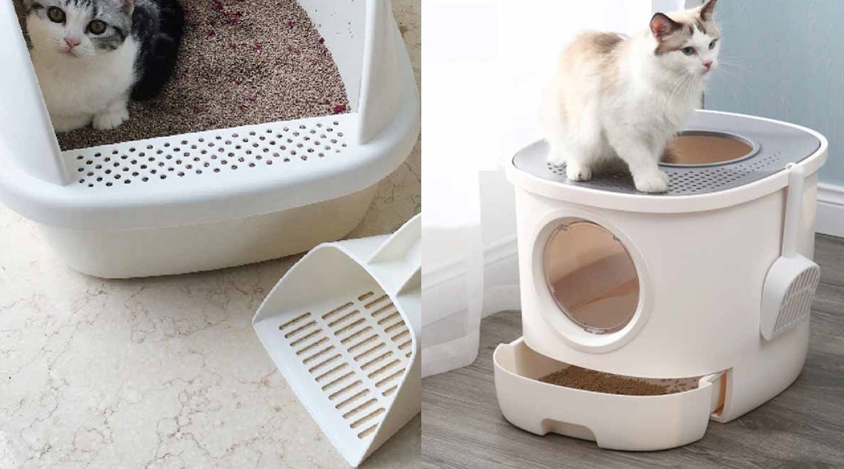 cat litter cat litter