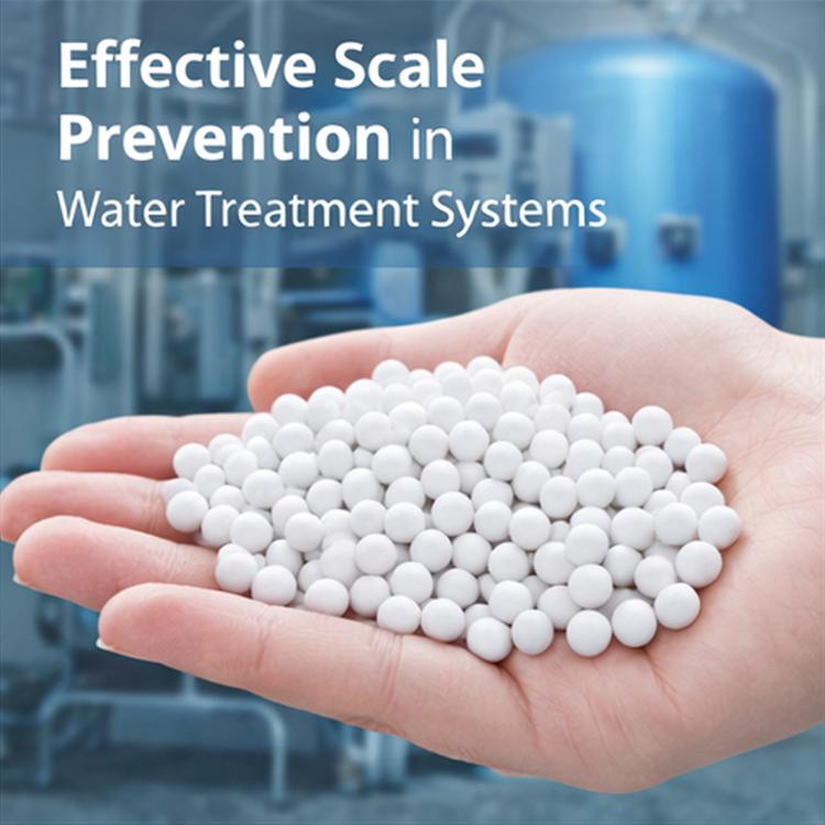 anti scale water filter